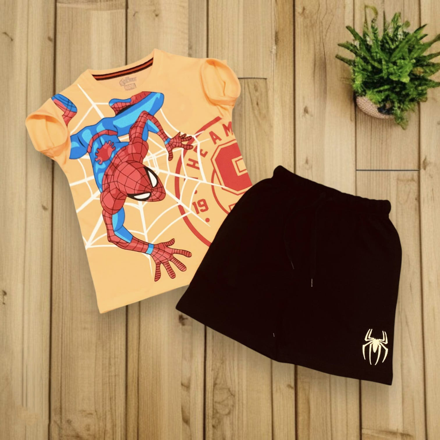 Pearl-Vintage-Boys-tshort-pant-set-d-3-1.jpg